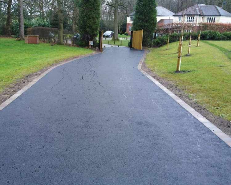 Driveways Mold